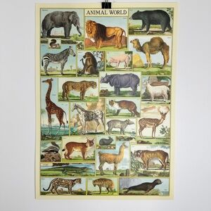 Cavallini Animal World 20” x 28” Poster